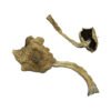 Alacabenzi Magic Mushrooms