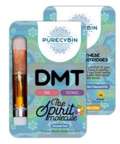 DMT 1ml Purecybin – 300mg DMT