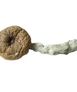 Funghi magici A+