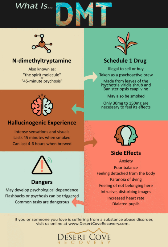 DMT side effects