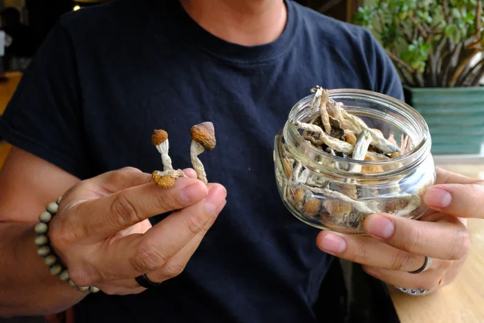 Does psilocybin show up on drug tests