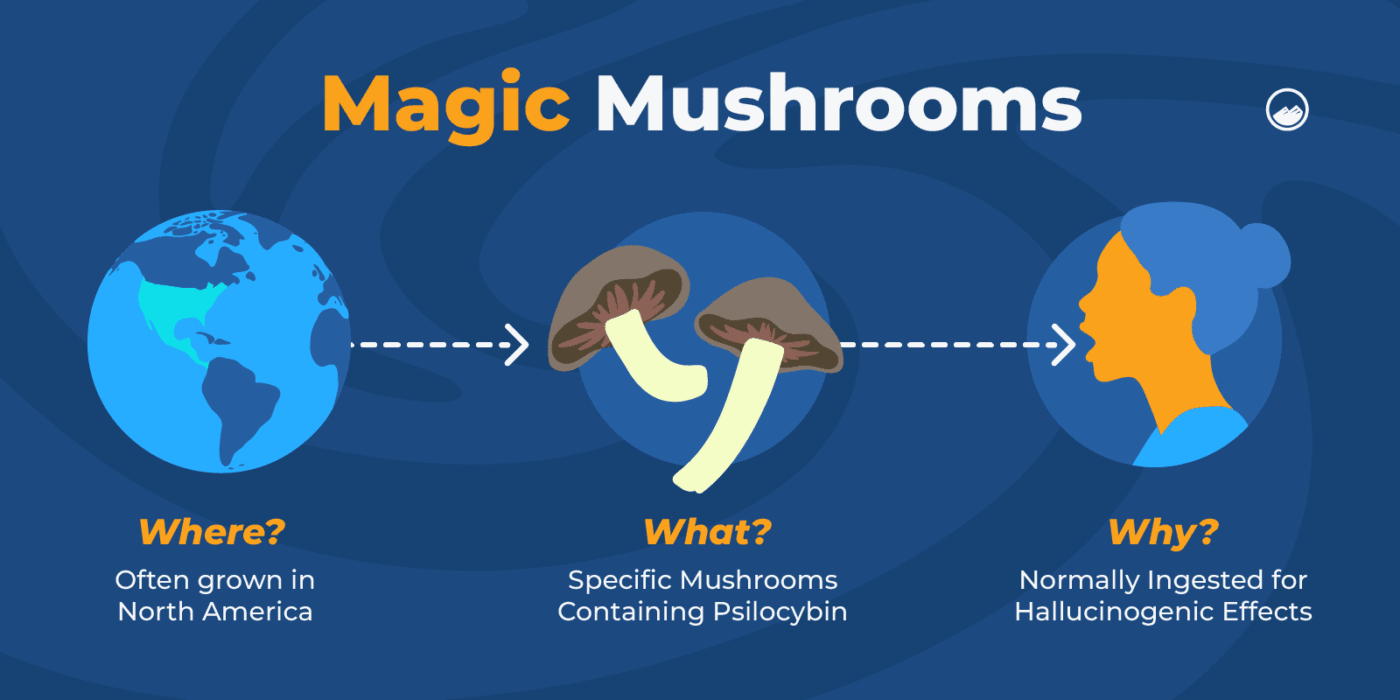 How Long Does It Take for Shrooms to Kick In